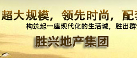 河北勝興地產集團 網站改版 網站建設